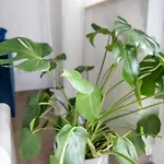 Potsdams Traumwohnung Apartman *